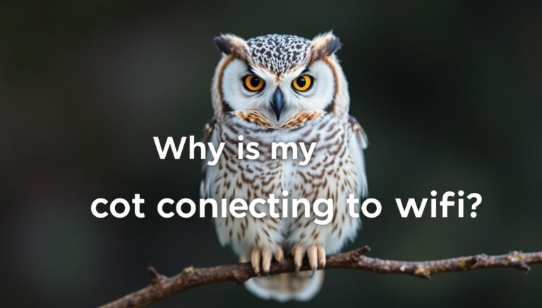 why is my owlet not connecting to wifi